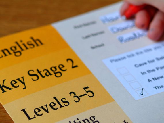 Optional SATs are tests that schools use to assess your child's progress at the end of the school year