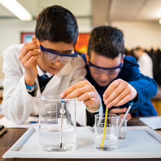 All images © Queen Elizabeth Grammar School Penrith.